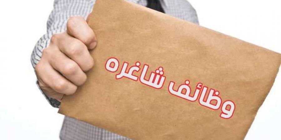 بمرتب 7500 جنيه شهريا.. وظائف خالية لجميع المؤهلات في الإسماعيلية - بوابة فكرة وي