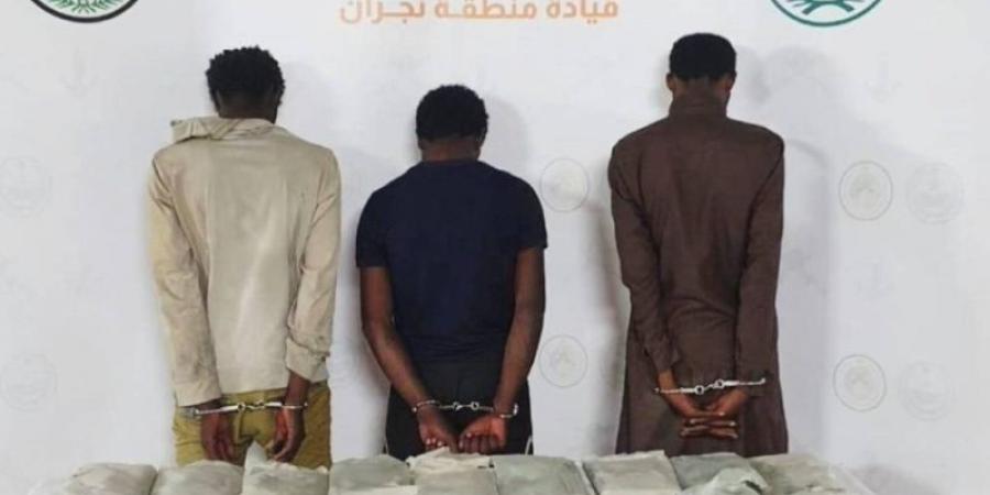 القبض على (3) مخالفين لتهريبهم (29,1) كجم من الحشيش بـ"سقام" - بوابة فكرة وي