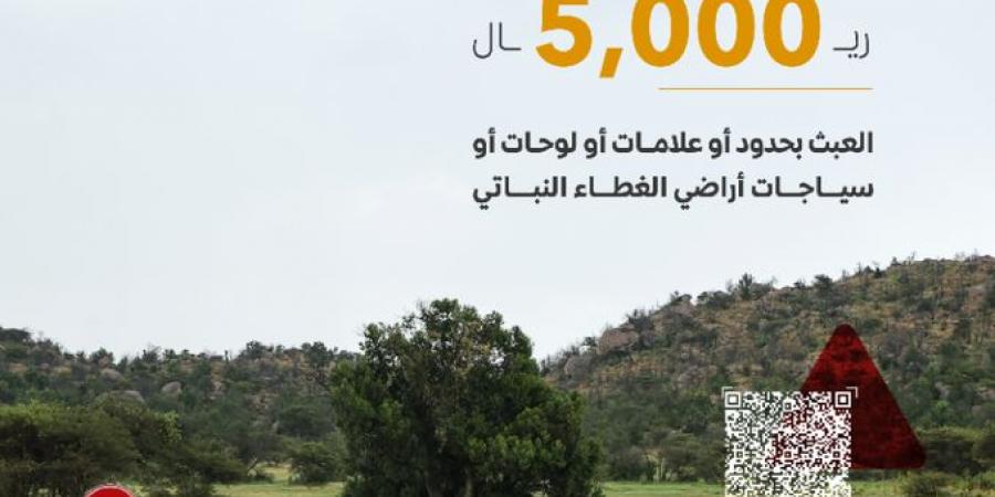 "مكافحة التصحر": 5000 ريال غرامة العبث بعلامات الغطاء النباتي وسياجاته - بوابة فكرة وي