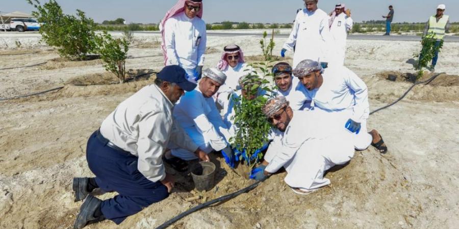 نقل تجربة الأحساء في الري الحديث لـ «موارد المياه العمانية» - بوابة فكرة وي