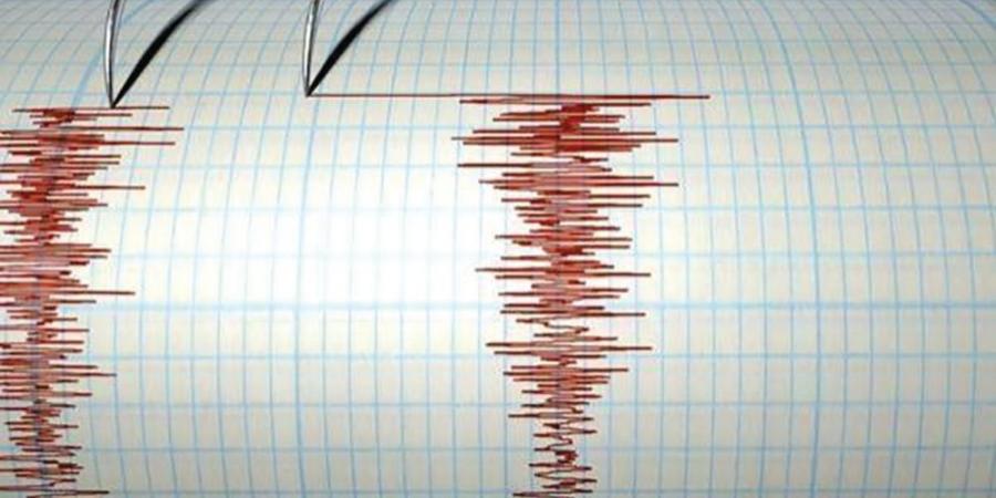 زلزال بقوة 6.6 ريختر يضرب قبالة بابوا غينيا الجديدة - بوابة فكرة وي