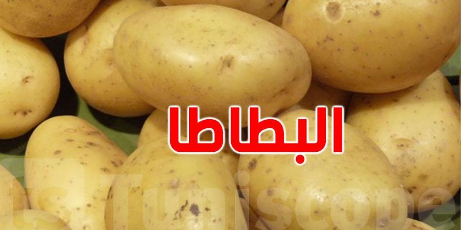 ما سبب نقص'' البطاطا'' في الأسواق التونسية ؟ - بوابة فكرة وي