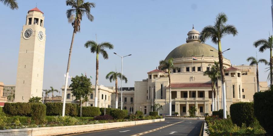 جامعة القاهرة تعقد ندوة "من الجامعة إلى سوق العمل".. غدا - بوابة فكرة وي