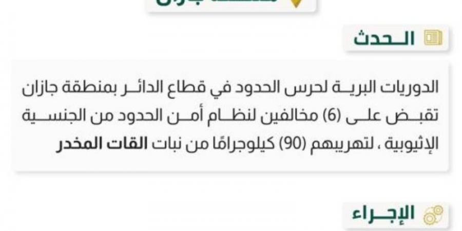 حرس الحدود بجازان يحبط تهريب 90 كيلوجرامًا من القات المخدر - بوابة فكرة وي