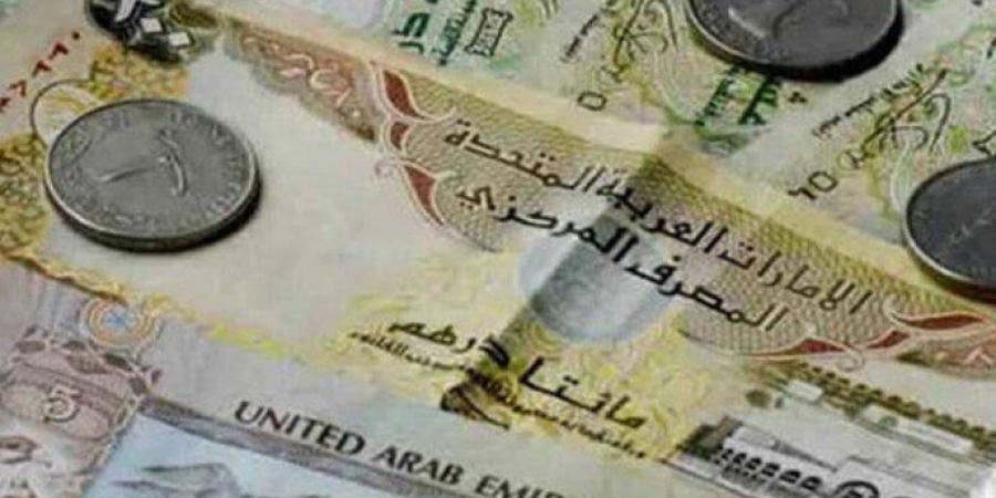 سعر الدرهم الإماراتي مقابل الجنيه المصري اليوم الثلاثاء 19 نوفمبر 2024 - بوابة فكرة وي