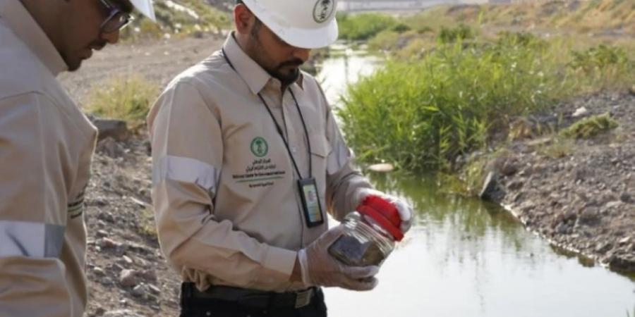 "الالتزام البيئي" يحصل على شهادة التميز من المؤسسة الأوروبية لإدارة الجودة - بوابة فكرة وي