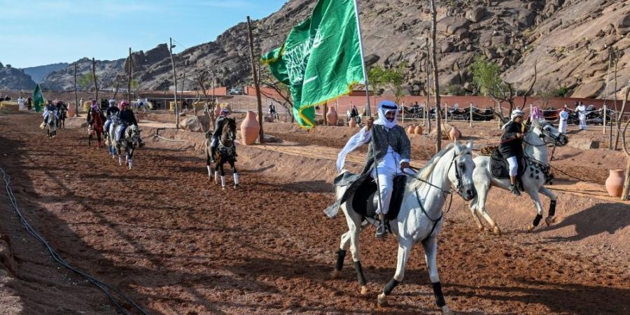 شاهد| عروض الخيل والهجن والسامري.. تشكيلات فنية تبهر زوار "وسم حائل" - بوابة فكرة وي