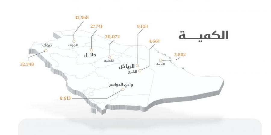 صرف 261 مليون ريال مستحقات الدفعة السادسة لمزارعي القمح المحلي - بوابة فكرة وي