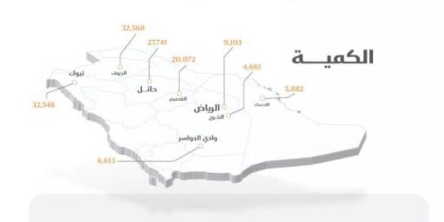 الأمن الغذائي : صرف 261 مليون ريال مستحقات الدفعة السادسة لمزارعي القمح المحلي - بوابة فكرة وي