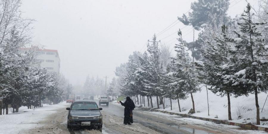 تساقط الثلوج بجبل لبنان يعطل المدارس والمؤسسات - بوابة فكرة وي