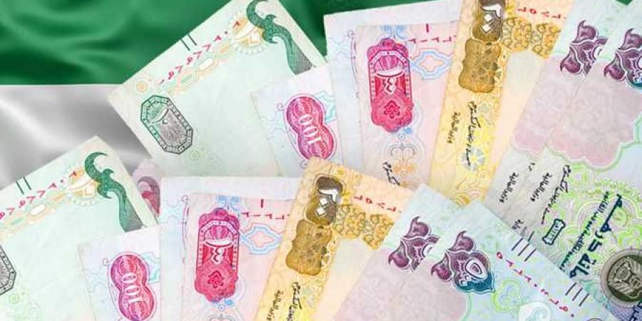 سعر الدرهم الاماراتي اليوم الخميس 28-11-2024 - بوابة فكرة وي