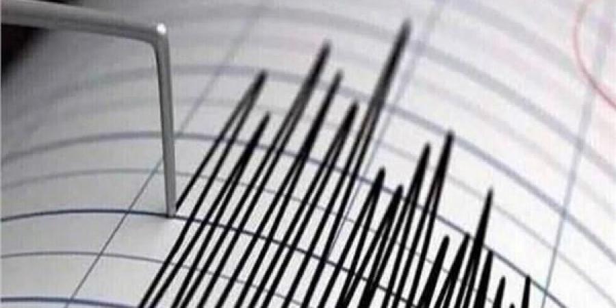 زلزال بقوة 4.6 درجات يضرب سواحل جنوب المحيط الهادئ - بوابة فكرة وي