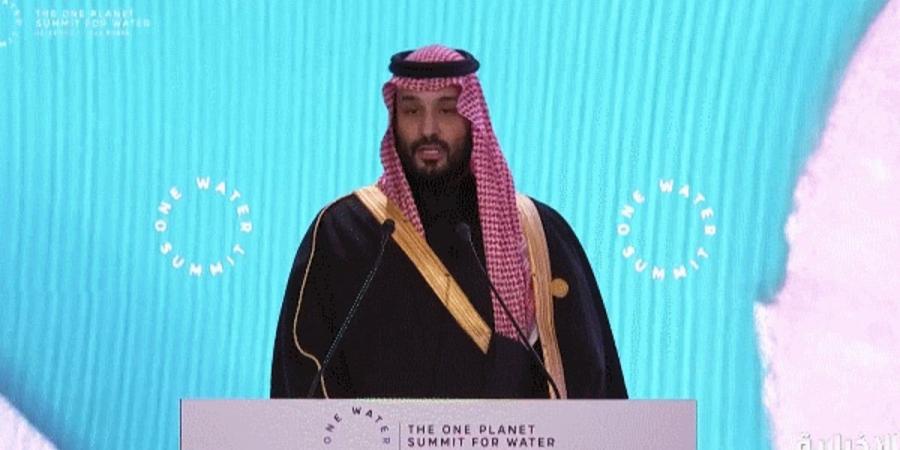 السعودية تستضيف "قمة المياه الواحدة".. ريادة دولية لتعزيز استدامة الموارد المائية - بوابة فكرة وي