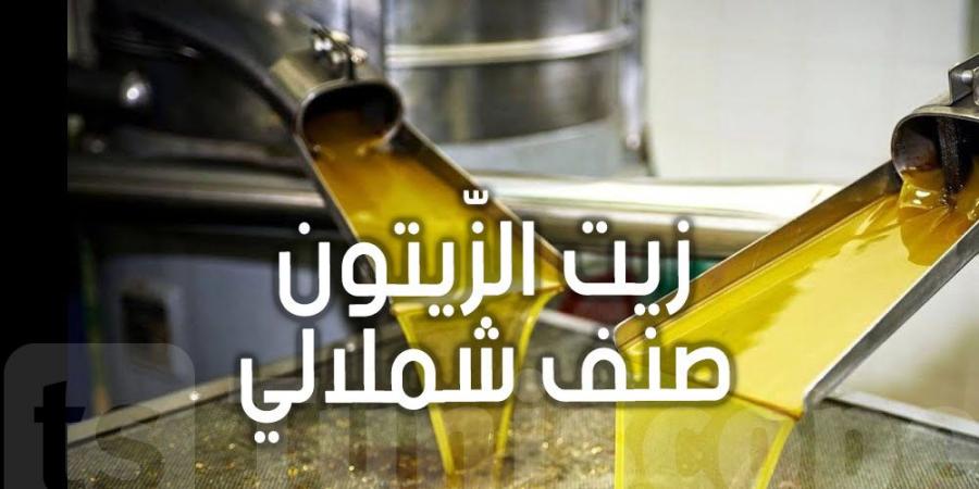 يشكل ما بين 60 و70% من الإنتاج الوطني : عندك فكرة على زيت الزّيتون صنف شملالي؟ - بوابة فكرة وي