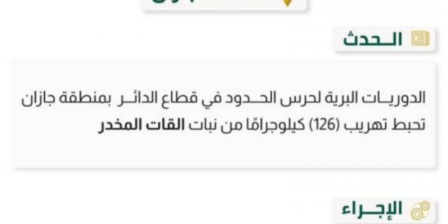 حرس الحدود بجازان يحبط تهريب (126) كيلوجرامًا من القات المخدر - بوابة فكرة وي