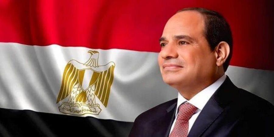 الرئيس السيسي يعود إلى أرض الوطن بعد جولة أوروبية شملت الدنمارك والنرويج وأيرلندا - بوابة فكرة وي