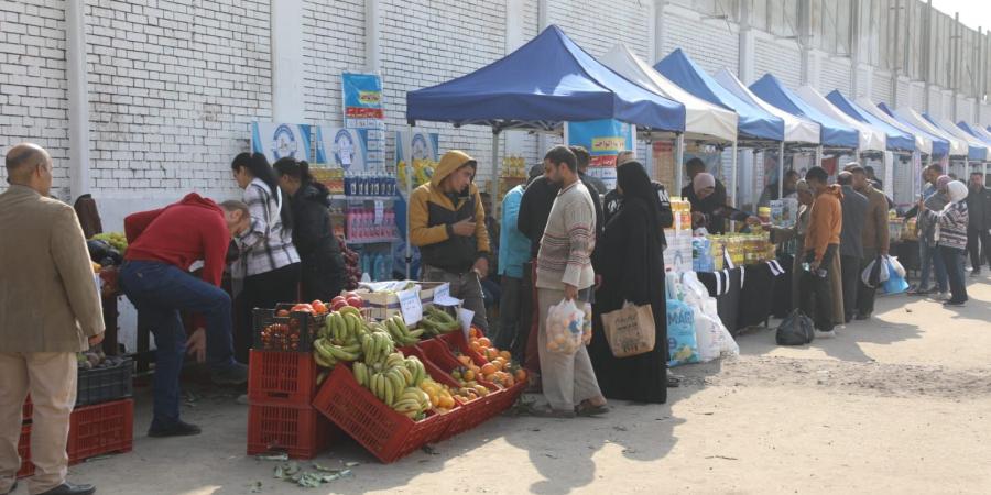 الجيزة : سوق اليوم الواحد بالعمرانية يفتح ابوابه للمواطنين غدا - بوابة فكرة وي