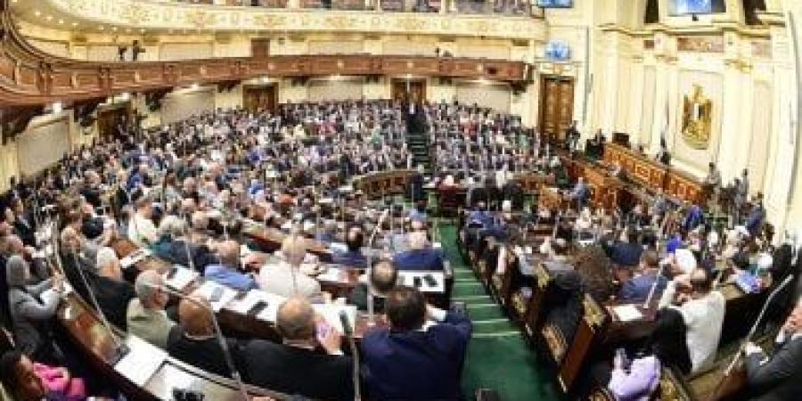 رئيس التعبئة والإحصاء: اعتبرنا المستأجرين البالغين 60 عاما سكانا أصليين - بوابة فكرة وي