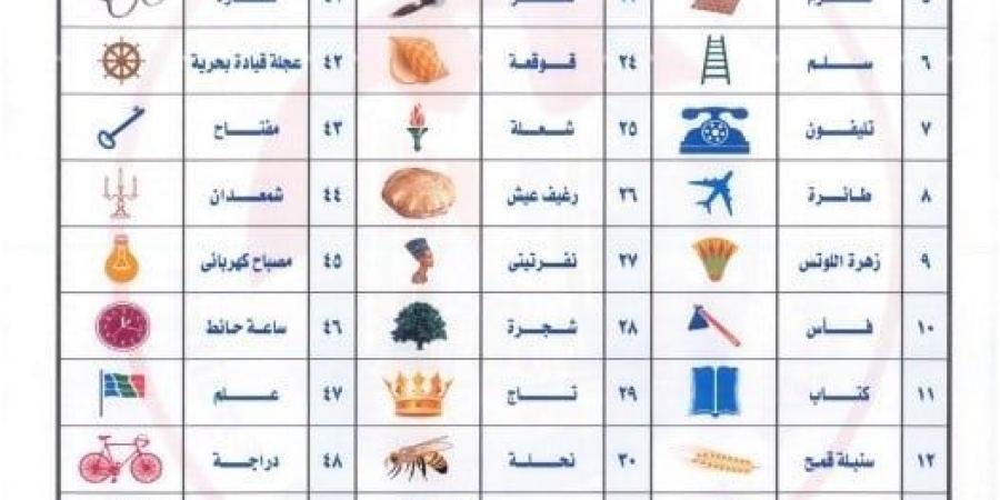 الرموز الانتخابية الخاصة بنظامى الفردى والقوائم بانتخابات مجلس الشيوخ - بوابة فكرة وي