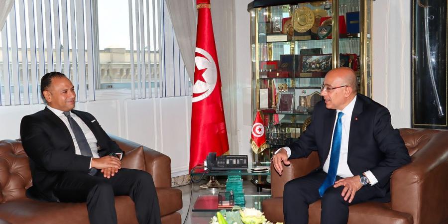 التعاون الثنائي في المجال العسكري وآليات تطويره محور لقاء وزير الدفاع بسفير مصر لدى تونس - بوابة فكرة وي
