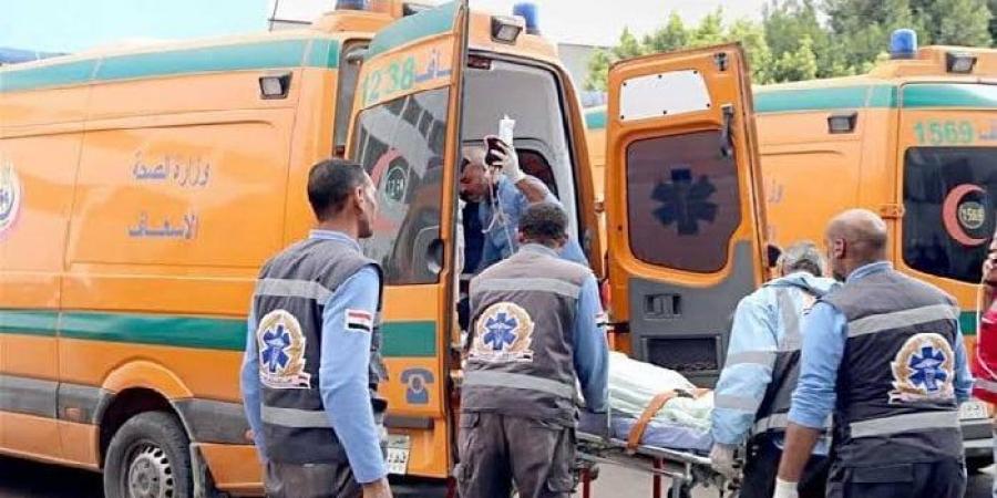 مقتل مسن وإصابة شقيقه بطلق ناري على يد مجهولين بالشرقية - بوابة فكرة وي