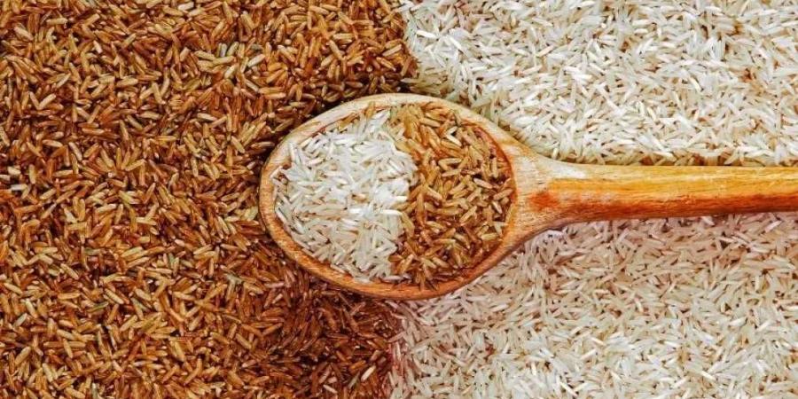 بكام الطن؟.. سعر الأرز الشعير اليوم في مصر السبت 5 يوليو 2025 - بوابة فكرة وي