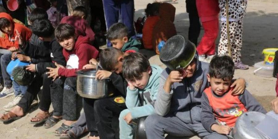 "الأغذية العالمي" يدعو لفتح مزيد من الطرق الآمنة في قطاع غزة - بوابة فكرة وي