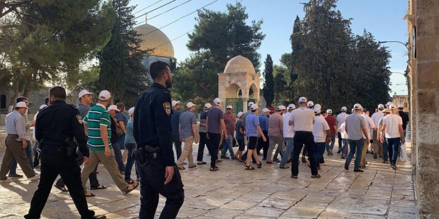 مستوطنون يقتحمون المسجد الأقصى بحماية شرطة الاحتلال - بوابة فكرة وي