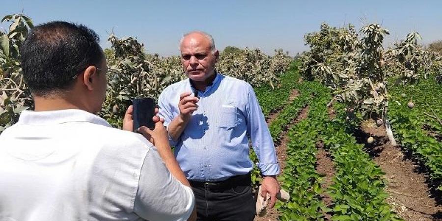زراعة المنيا تشاهد تجارب التحميل المحصولي للفول الصويا والمانجو - بوابة فكرة وي