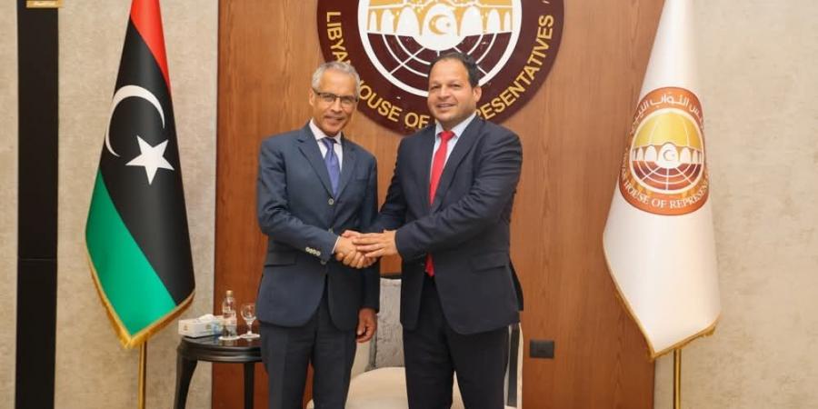 ملفات أمنية وحقوقية في لقاء نائب لجنة الشؤون الداخلية النيابية مع السفير الفرنسي في بنغازي - بوابة فكرة وي
