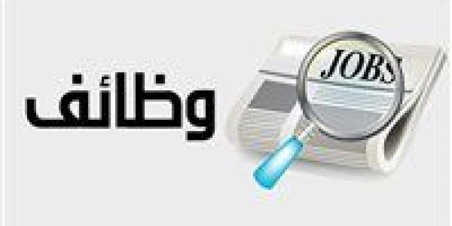 برواتب تصل إلى 52 ألف جنيه شهريًا.. تفاصيل فرص عمل جديدة للمصريين في البوسنة والهرسك - بوابة فكرة وي